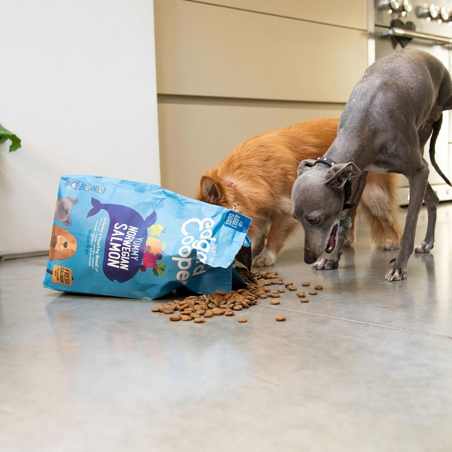 Edgard & Cooper Dry Dog Food for Large Breed Adult Dogs – Fresh Salmon – 12KG