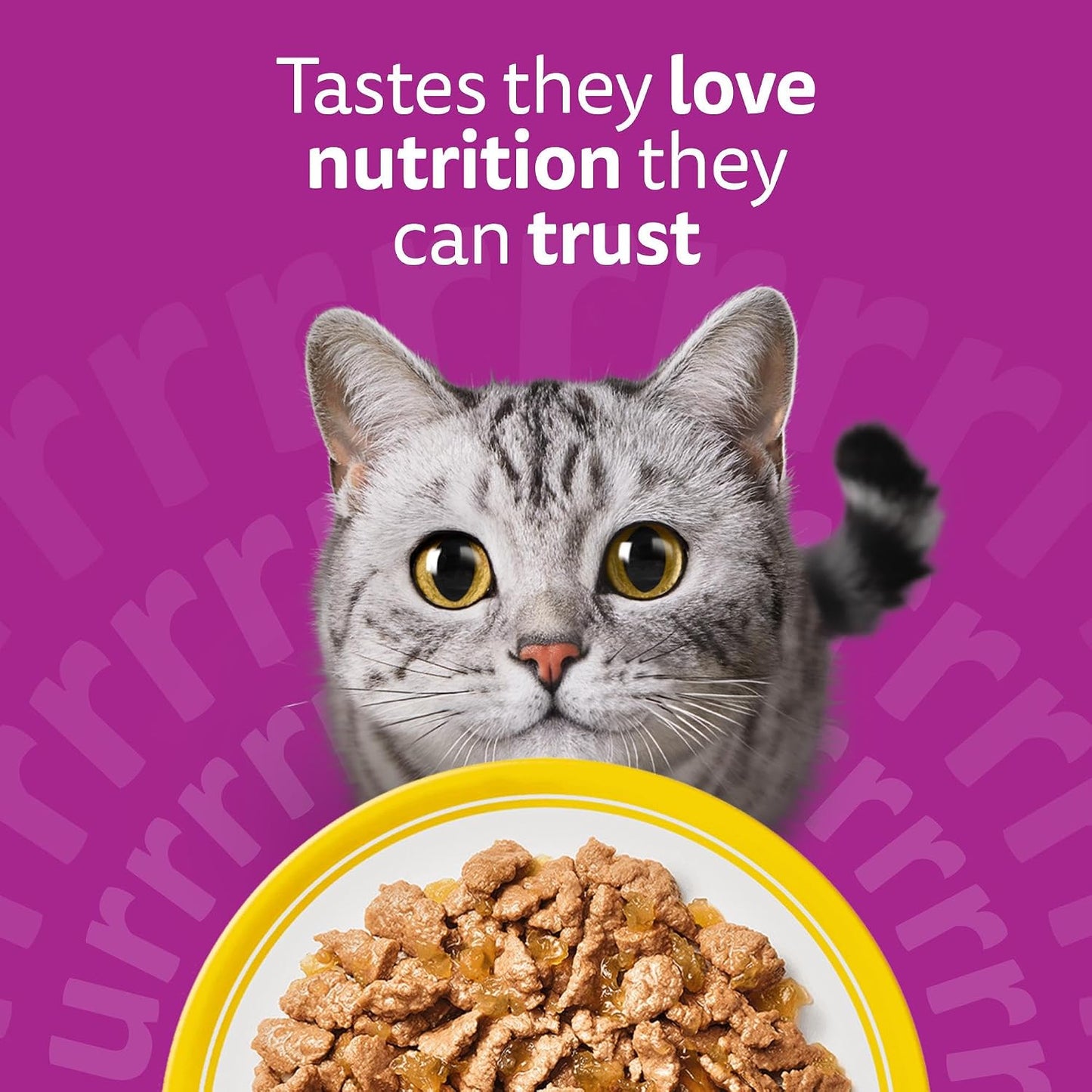WHISKAS Adult Wet Cat Food in Jelly – Poultry Feasts 120 x 85g