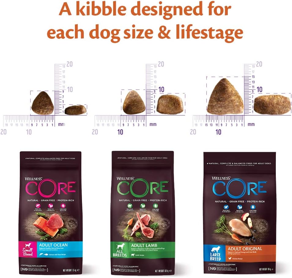 Wellness CORE Adult Dry Dog Food Lamb – 10KG | Grain-Free, High-Protein & Natural