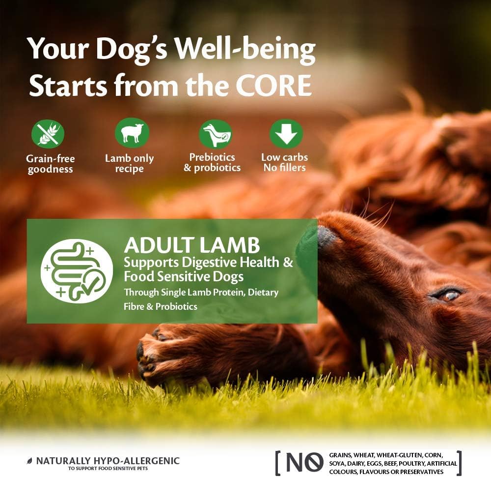 Wellness CORE Adult Dry Dog Food Lamb – 10KG | Grain-Free, High-Protein & Natural
