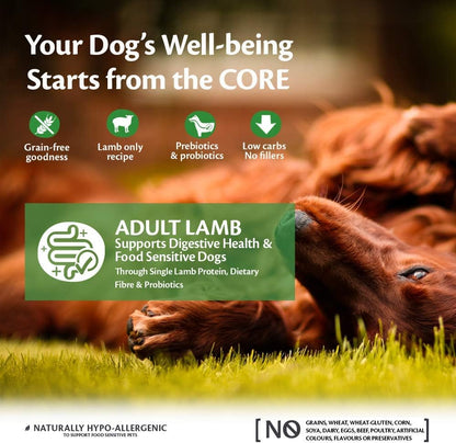 Wellness CORE Adult Dry Dog Food Lamb – 10KG | Grain-Free, High-Protein & Natural