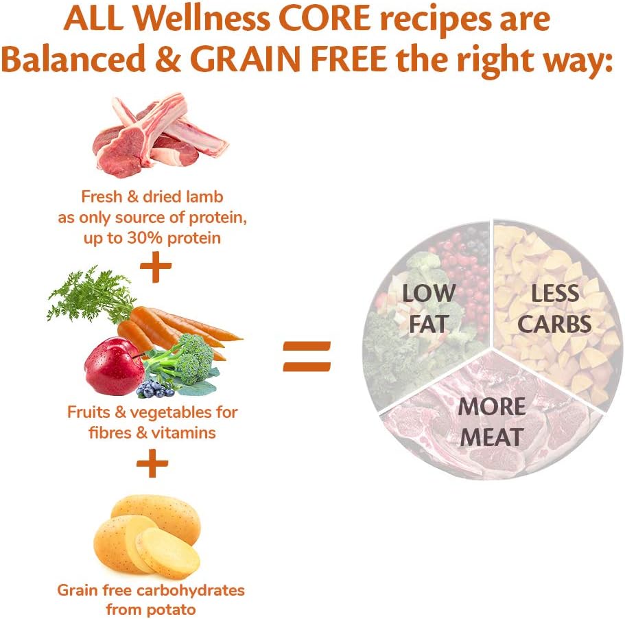 Wellness CORE Adult Dry Dog Food Lamb – 10KG | Grain-Free, High-Protein & Natural