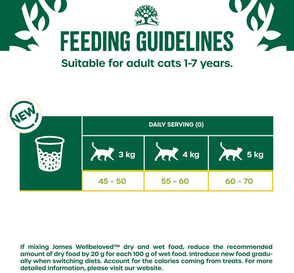 James Wellbeloved Hypoallergenic Adult Dry Cat Food Turkey – 10KG