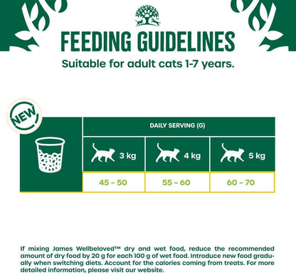 James Wellbeloved Hypoallergenic Adult Dry Cat Food Turkey – 10KG