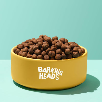 Barking Heads Bowl Lickin' Goodness Adult Dry Dog Food – Chicken – 12KG