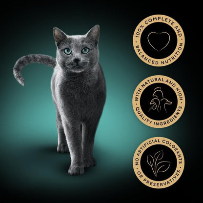 SHEBA Select Slices Adult Wet Cat Food in Gravy – Poultry Selection – 120 x 85g