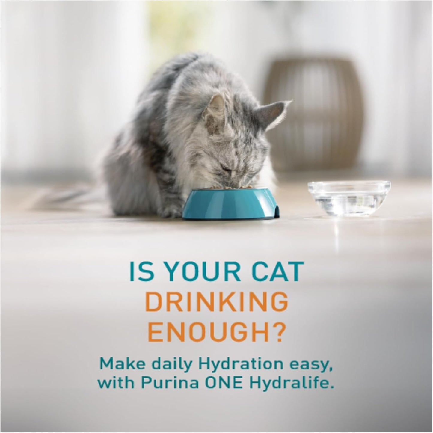 PURINA ONE HYDRALIFE Cat Hydration Drink – Chicken 6 x 50g Pack of 8