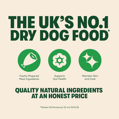 Harringtons Complete Dry Adult Dog Food Lamb & Rice – 15KG