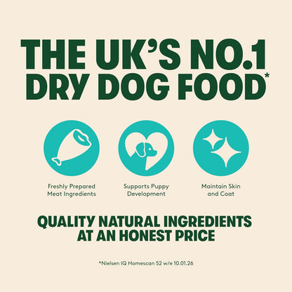 Harringtons Complete Dry Puppy Food Salmon & Rice – 10KG