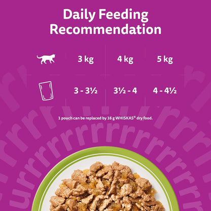WHISKAS 1+ Adult Mixed Selection in Jelly – 84 x 85g