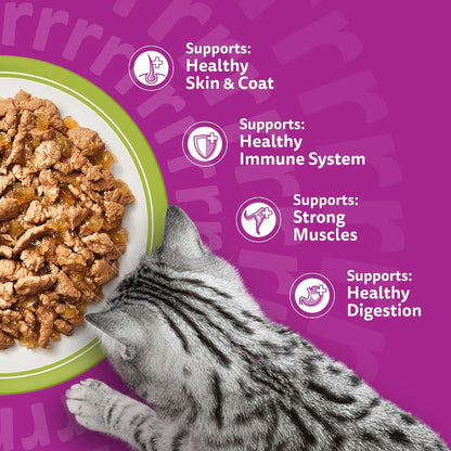 WHISKAS 1+ Adult Mixed Selection in Jelly – 84 x 85g