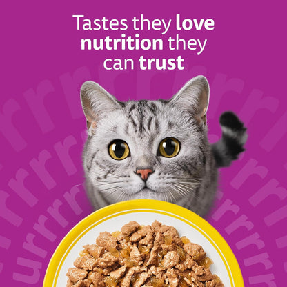 WHISKAS Adult Wet Cat Food in Jelly – Poultry Feasts 120 x 85g
