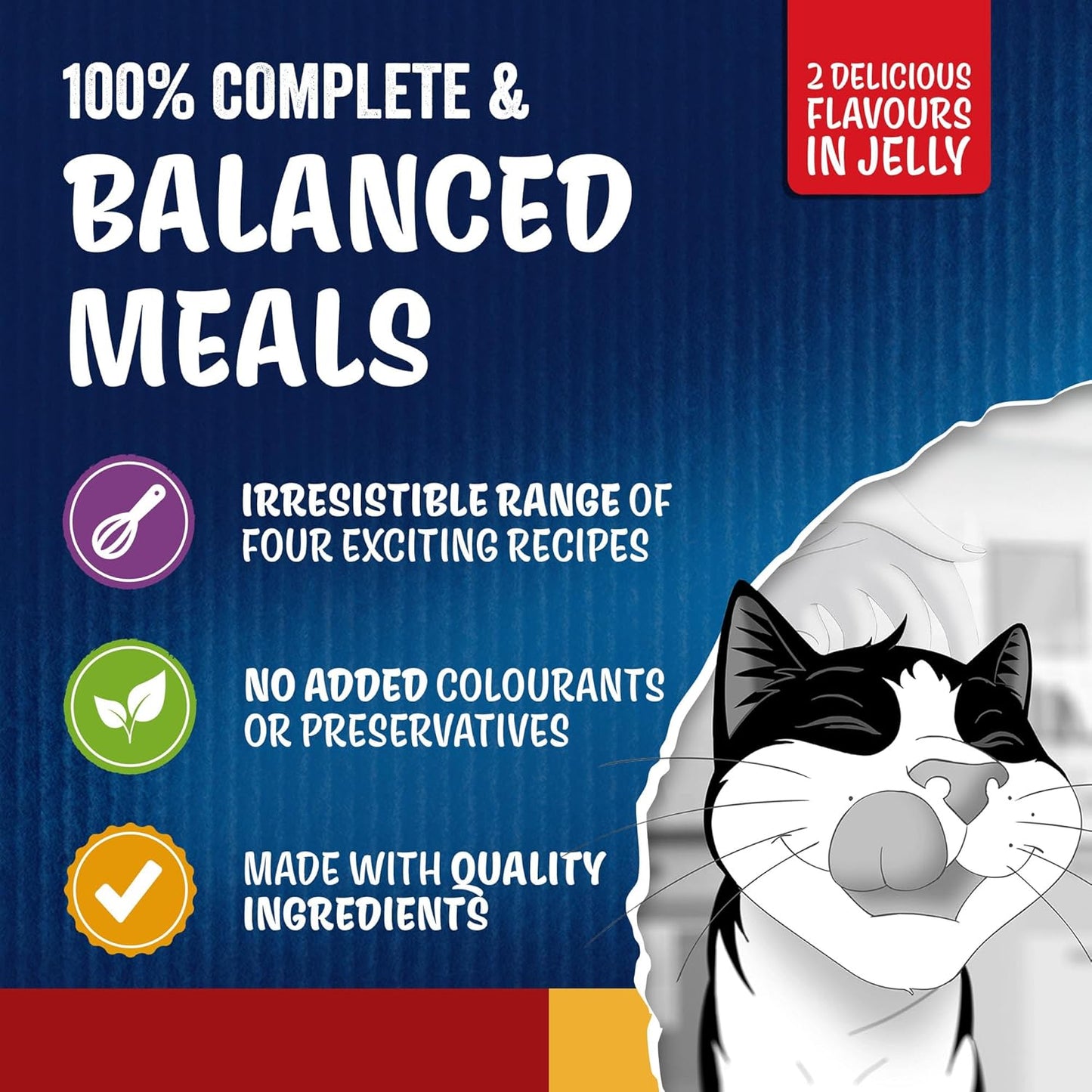 FELIX Doubly Delicious Adult Wet Cat Food Countryside Selection – 120 x 85g