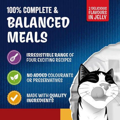 FELIX Doubly Delicious Adult Wet Cat Food Countryside Selection – 120 x 85g