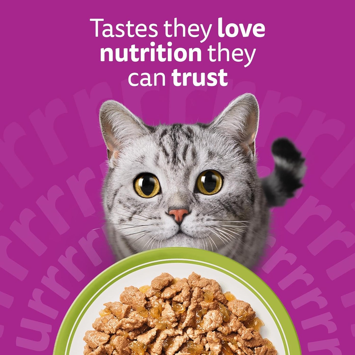 WHISKAS 1+ Adult Mixed Selection in Jelly – 84 x 85g