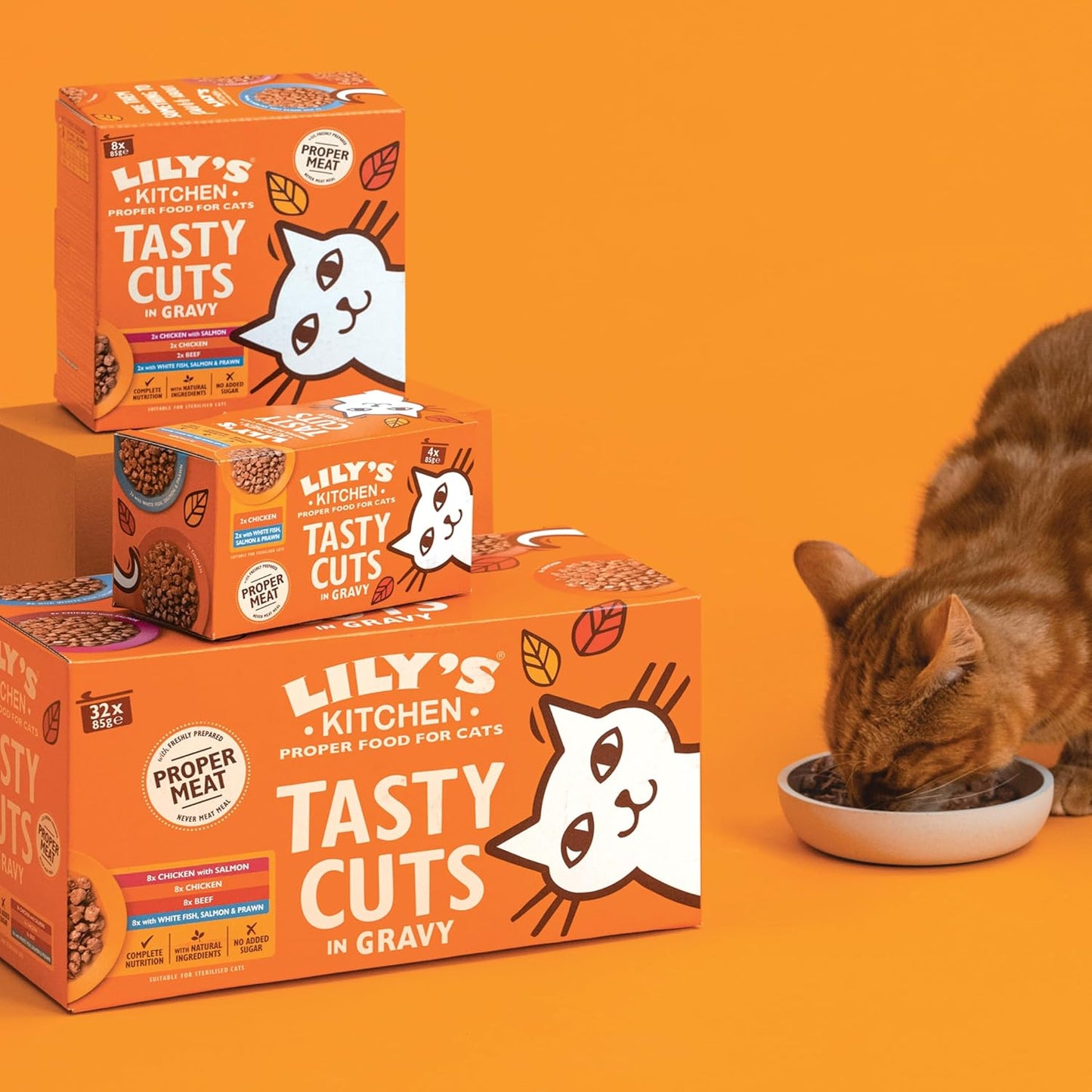 Lily’s Kitchen Tasty Cuts in Gravy Adult Wet Cat Food – 48 x 85g