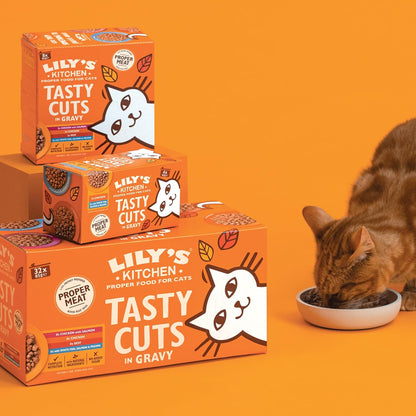 Lily’s Kitchen Tasty Cuts in Gravy Adult Wet Cat Food – 48 x 85g
