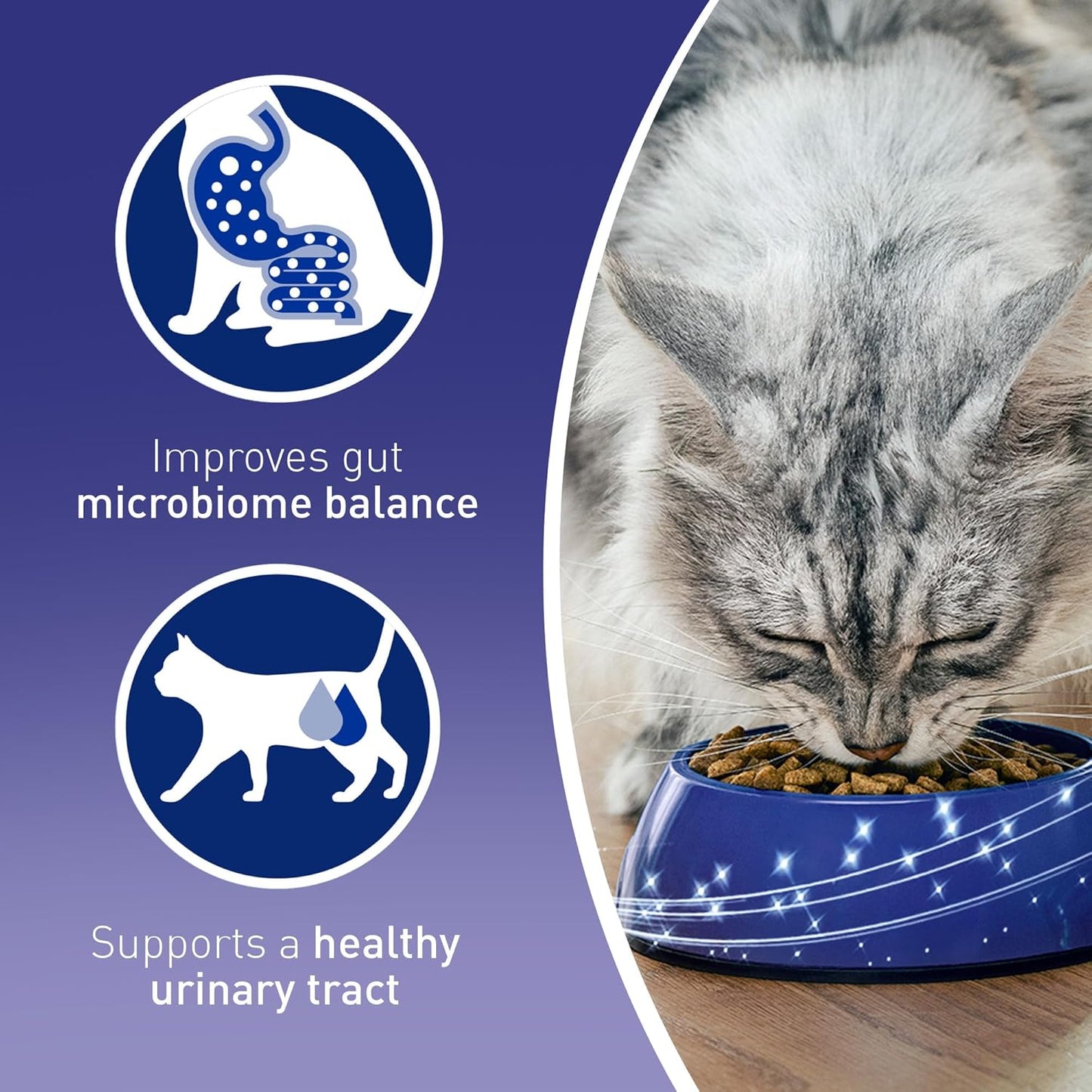 PURINA ONE Adult Dry Cat Food – Rich in Chicken 7.5KG