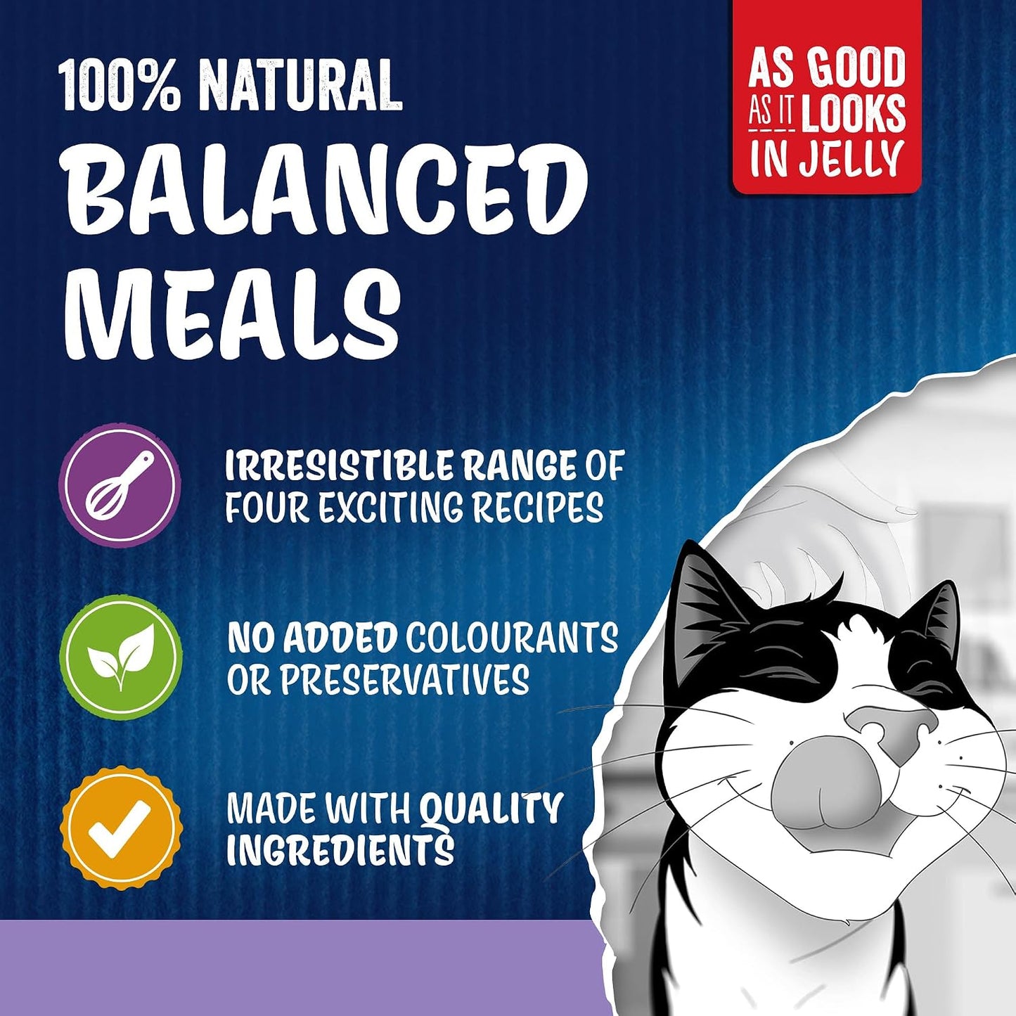 FELIX As Good As It Looks Favourites Selection in Jelly – 40 x 85g