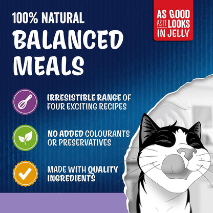 FELIX As Good As It Looks Favourites Selection in Jelly – 40 x 85g