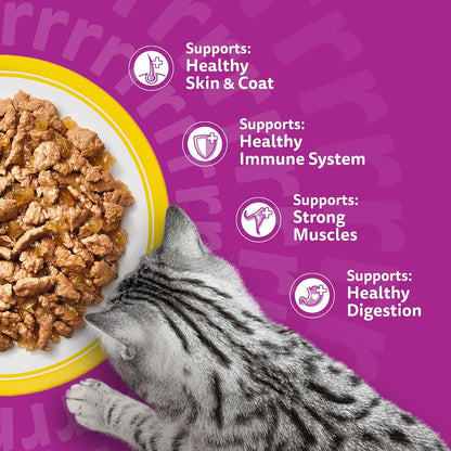 WHISKAS Adult Wet Cat Food in Jelly – Poultry Feasts 120 x 85g