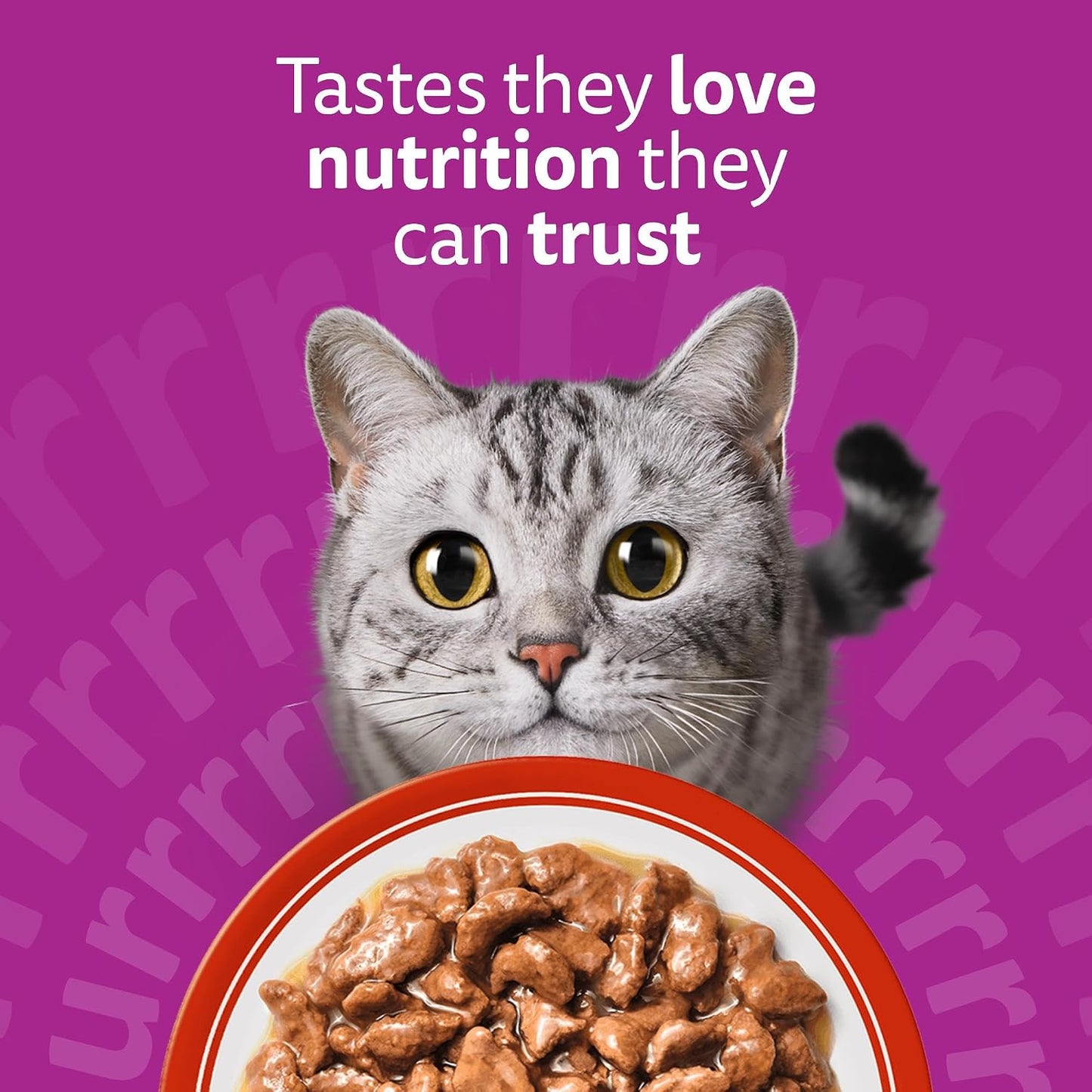 WHISKAS 1+ Adult Classic Selection in Gravy – 84 x 85g