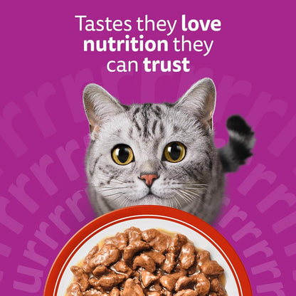 WHISKAS 1+ Adult Classic Selection in Gravy – 84 x 85g