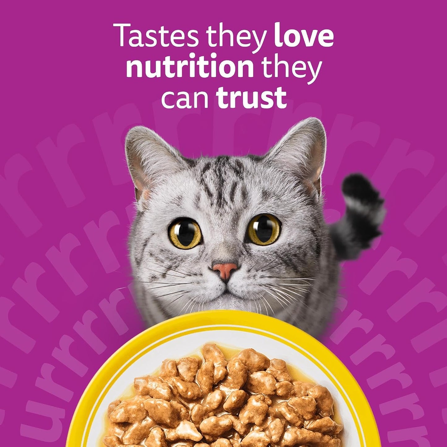 WHISKAS 1+ Adult Wet Cat Food Limited Edition Variety Pack – 80 x 85g